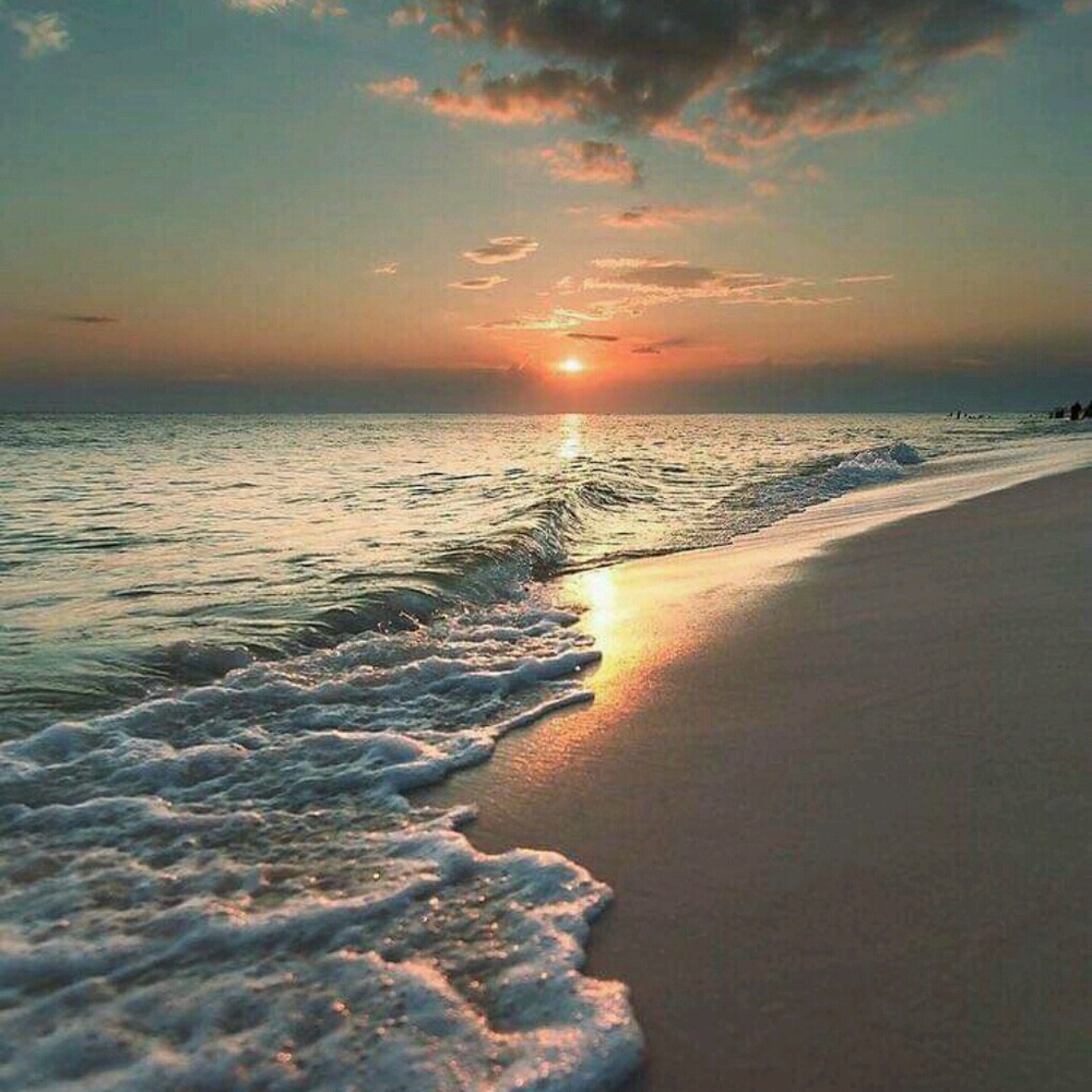 Meet your Posher, Lea